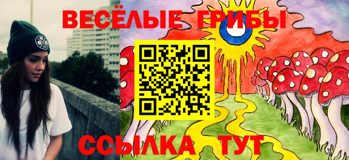 Галлюциногенные грибы Psilocybine cubensis  Вход с VPN  что такое наркотик  Псилоцибиновые грибы GOLDEN TEACHER  Элиста 